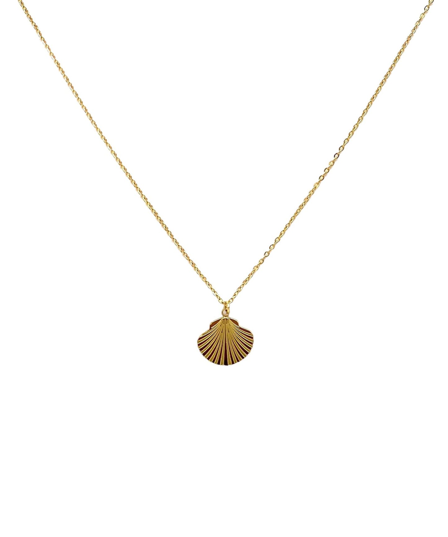 collar acero inoxidable mujer con forma de Concha