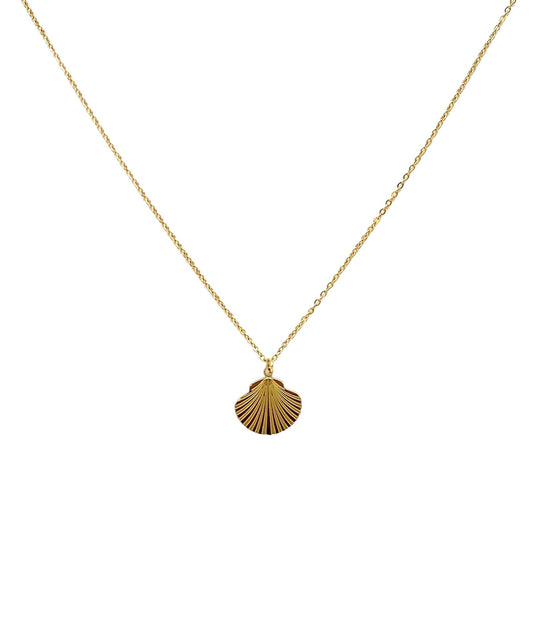 collar acero inoxidable mujer con forma de Concha